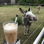 Hof Lillge 아파트