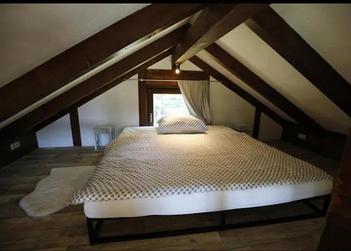 Hof Lillge Daire Schorfheide