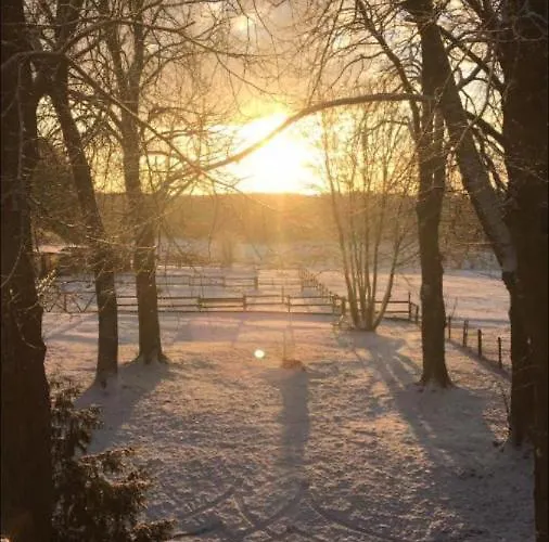 Daire Hof Lillge Schorfheide